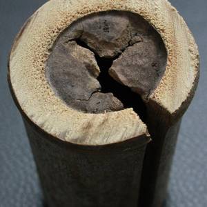 legno-6