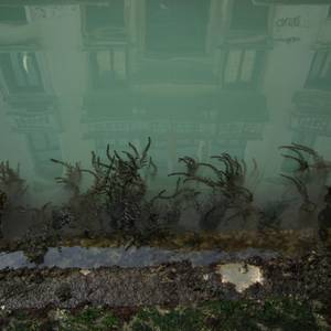ecosistemi-6