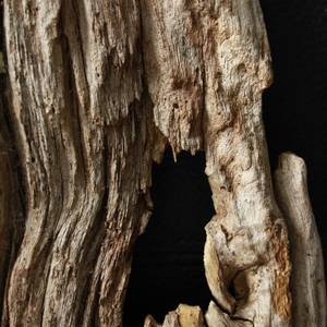 legno-7