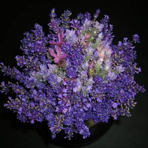 fiori-11