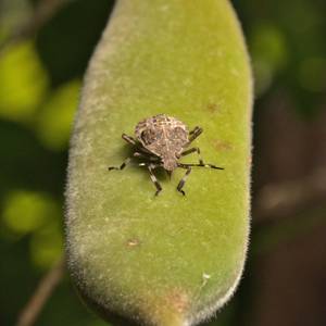 ecosistemi-9