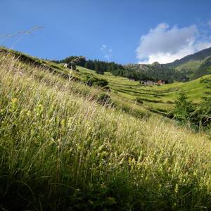 paesaggi-6