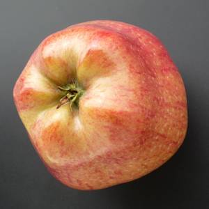 frutti-e-semi-16